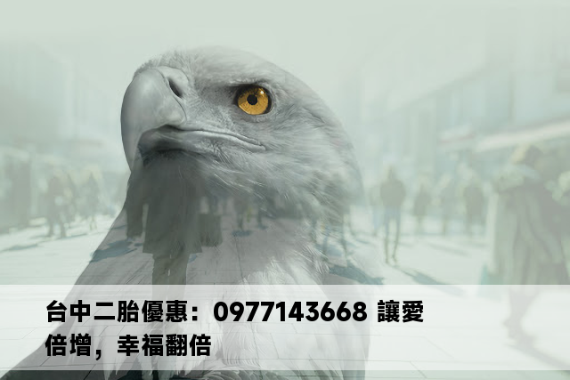 台中二胎優惠：0977143668 讓愛倍增，幸福翻倍